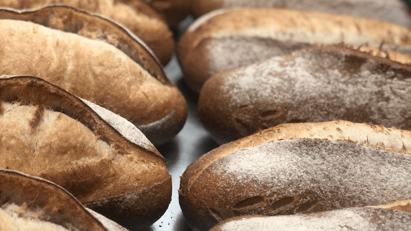 Trigos Artisan Breads, photo 2