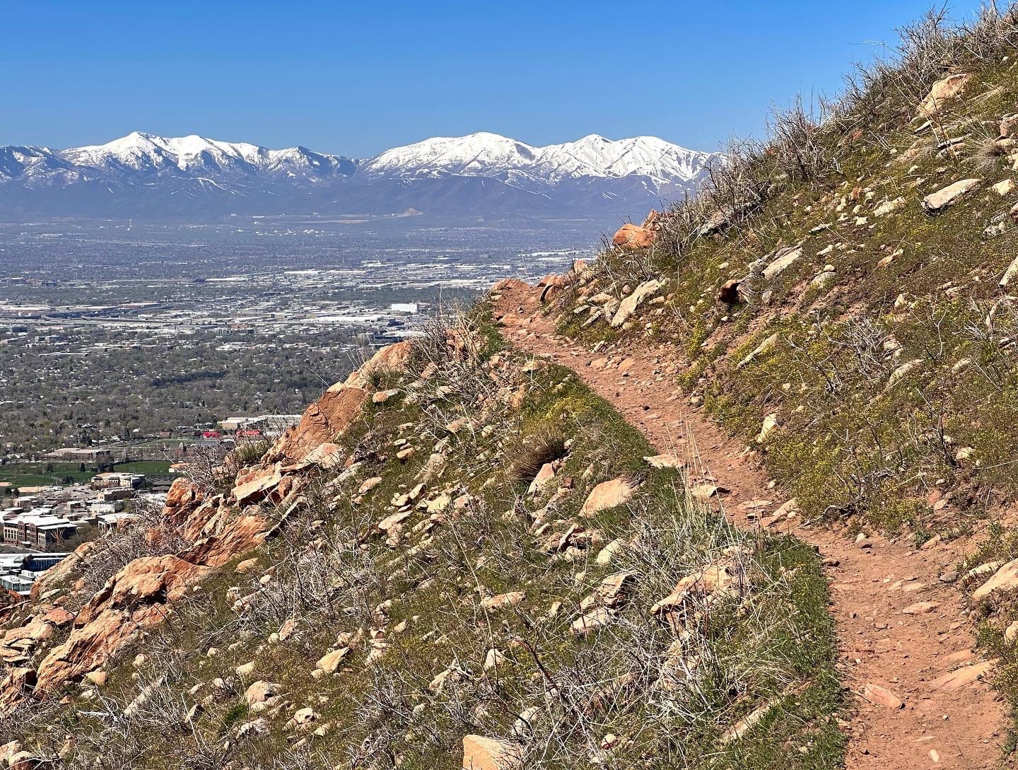 Living Room Trail