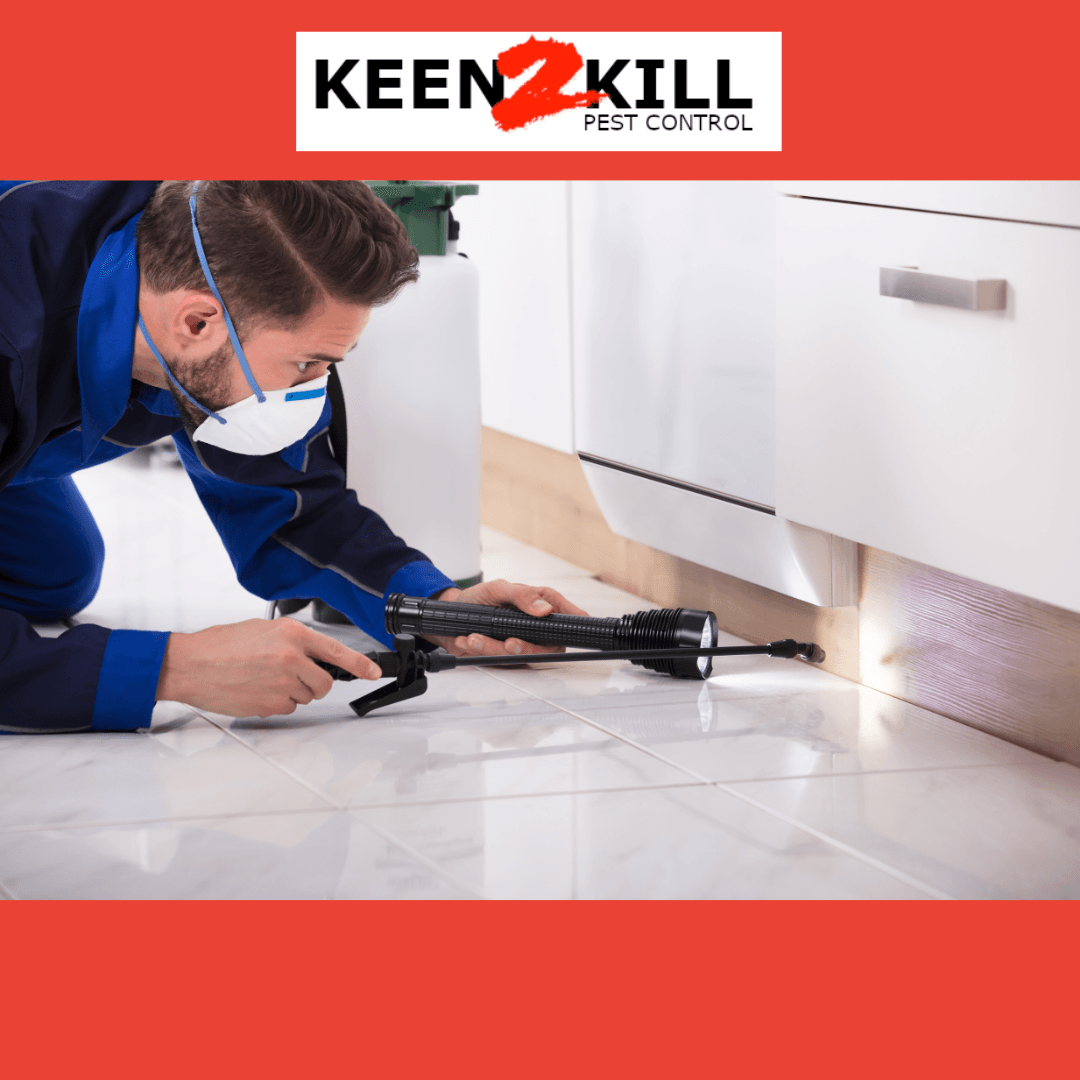 Keen2Kill Pest Control, photo 2