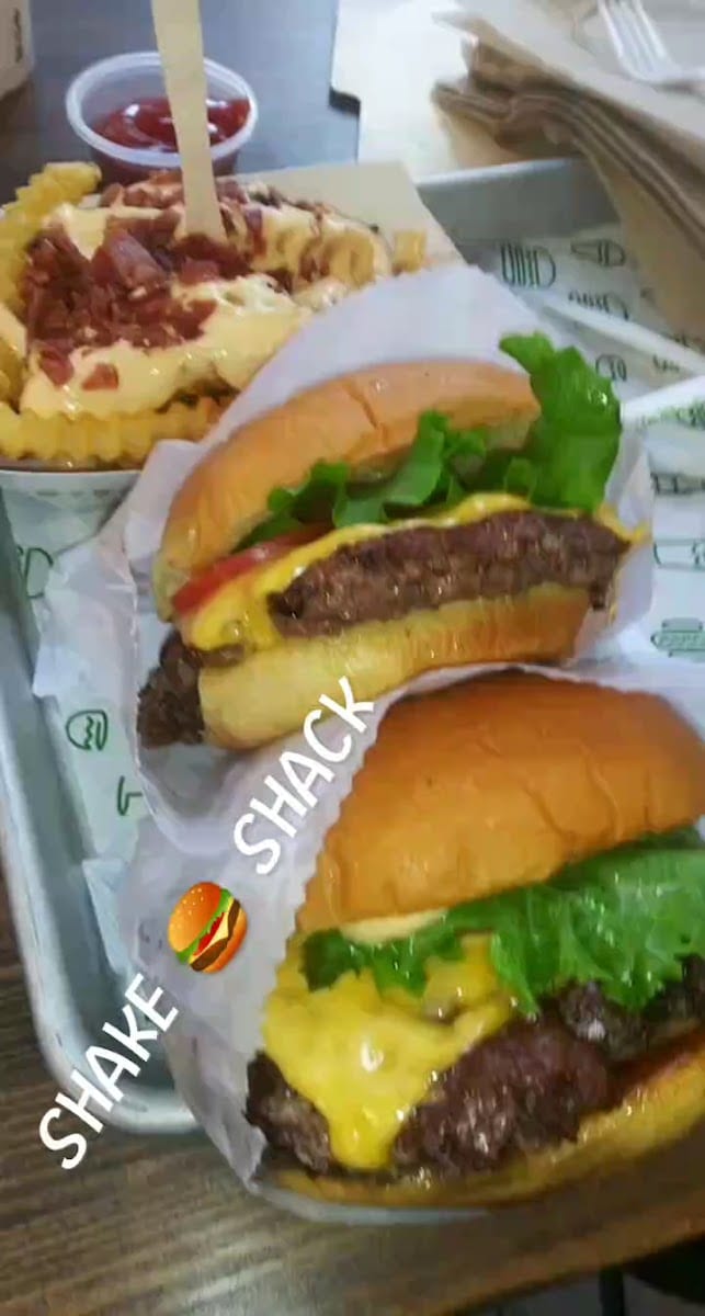 Shake Shack Downtown Houston, photo 3