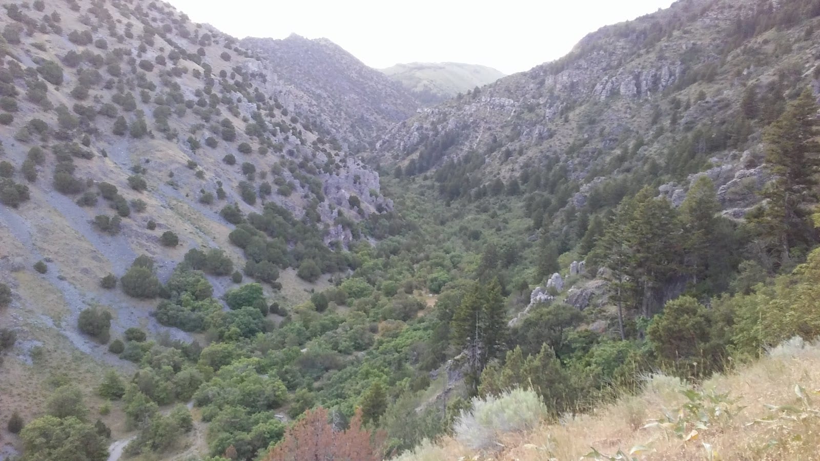 Dry Canyon, photo 3