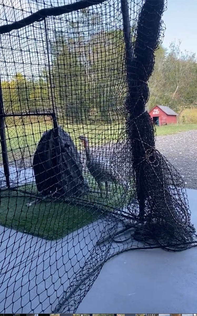 HardCore Catching Academy