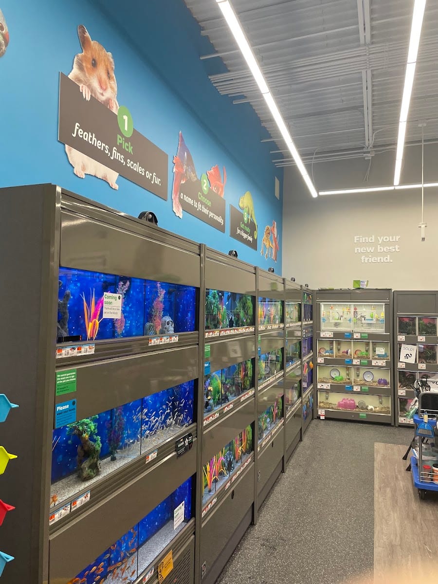 Pet Supplies Plus Panama City, photo 3