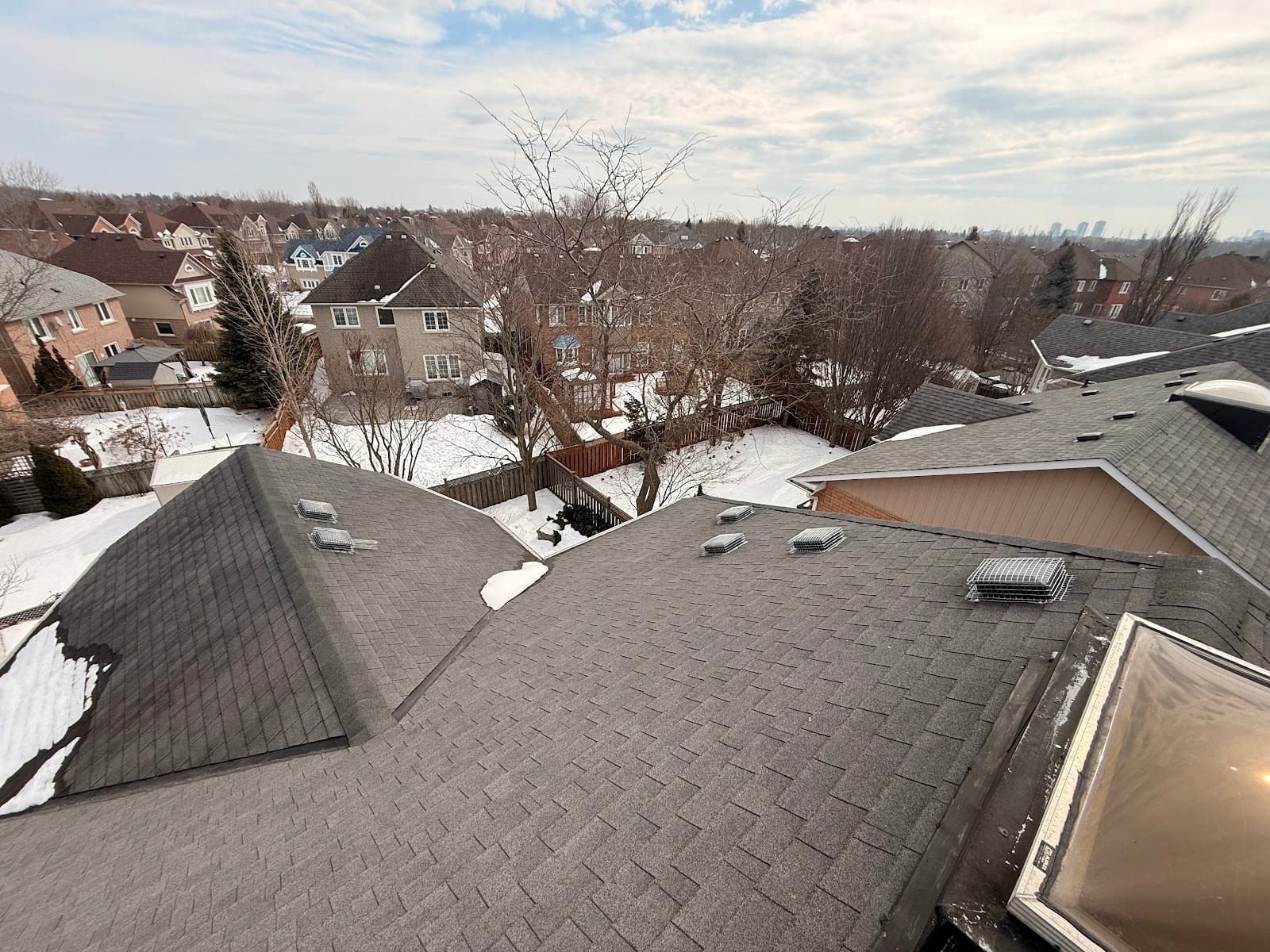 GTA Wildlife Removal & Pest Control Ltd., photo 3