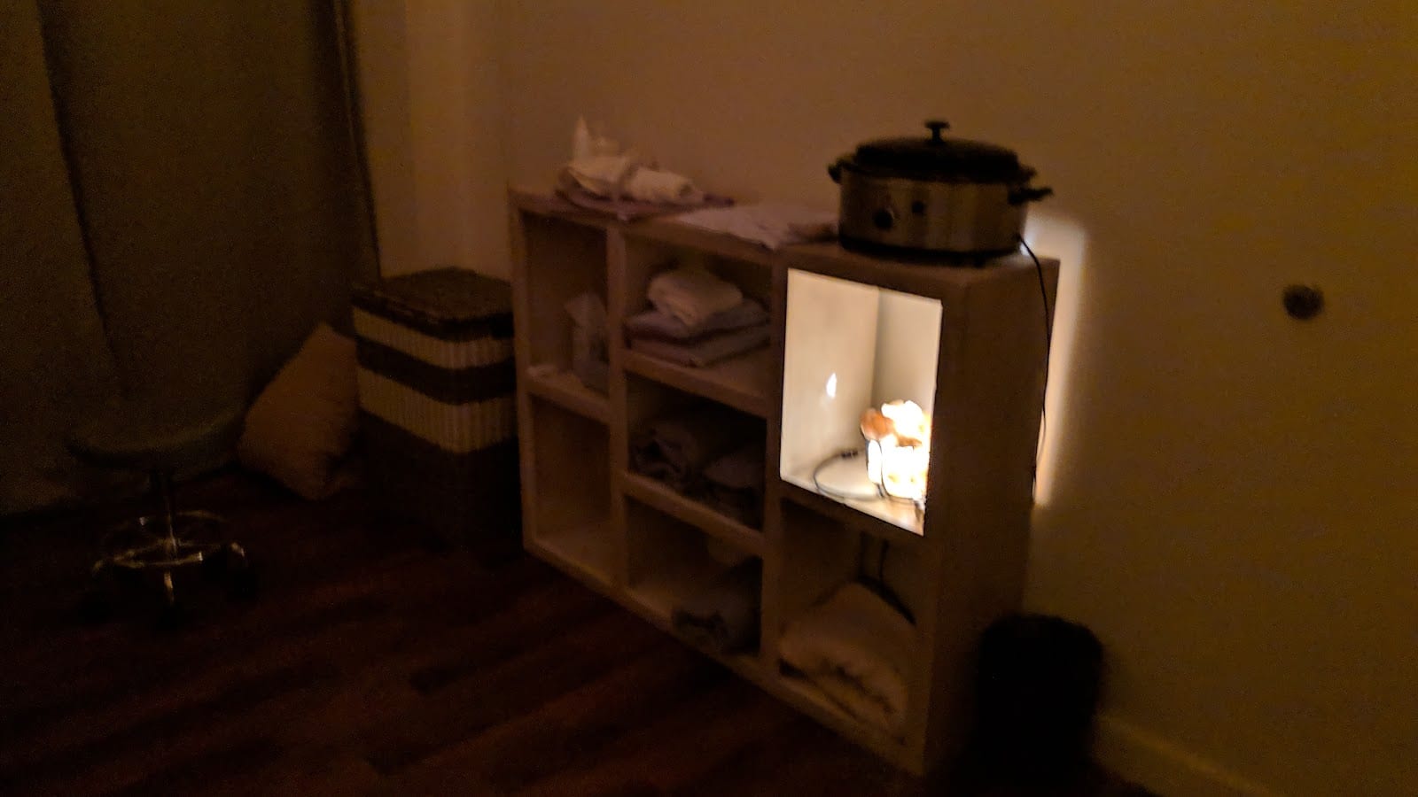 Palpate Body, photo 3