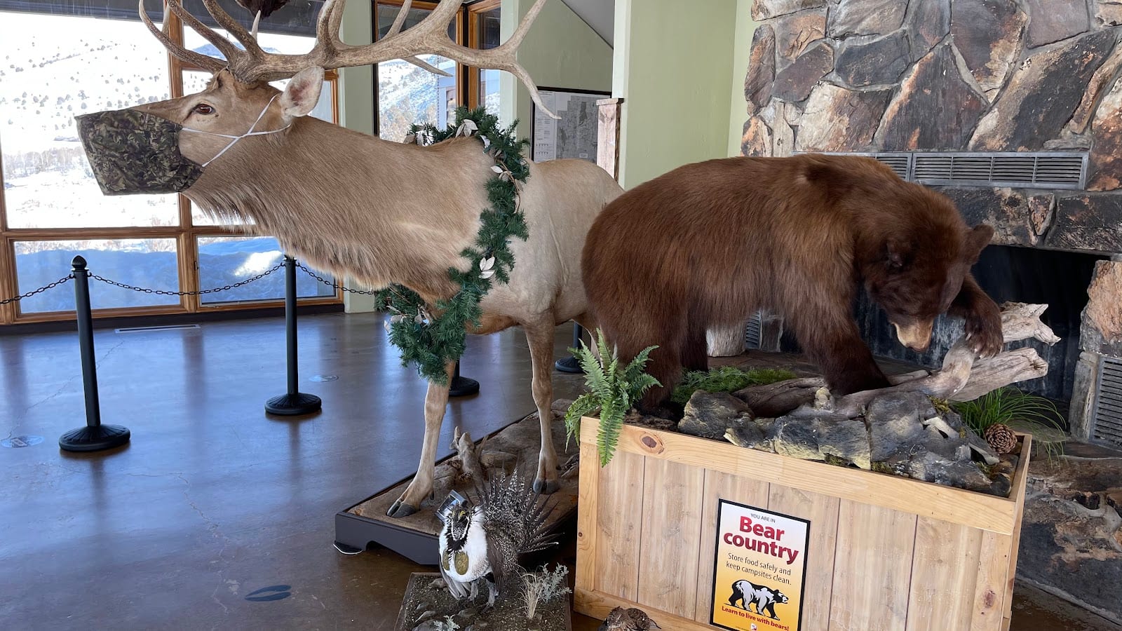 Wildlife Education Center at Hardware Wildlife Management Area, photo 2