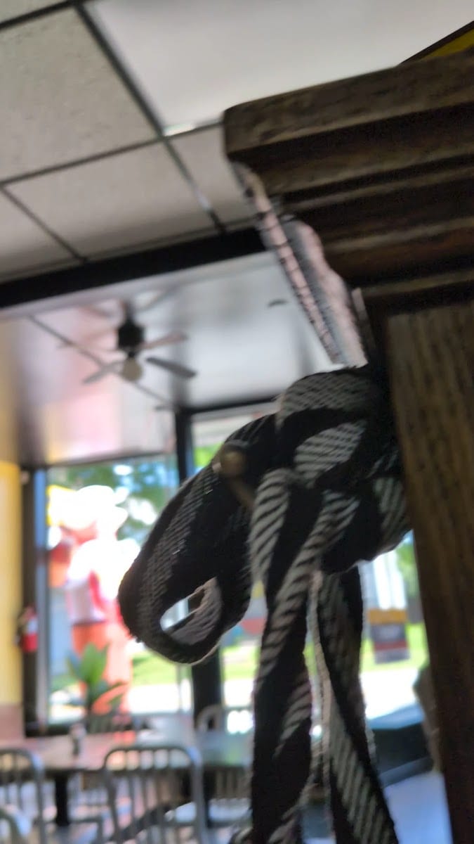 Colombian Delights, photo 3