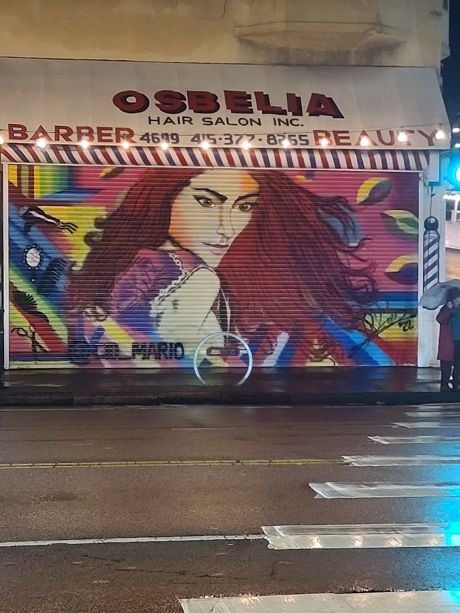 Osbelia Hair Salon INC, photo 2