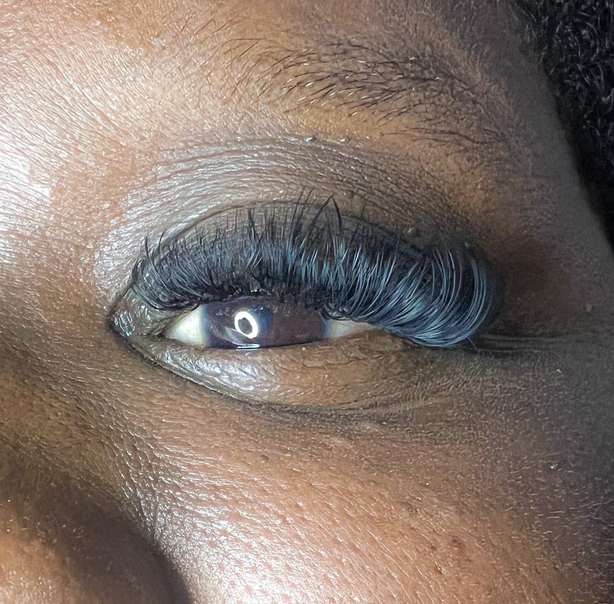 Honeys lash and brow