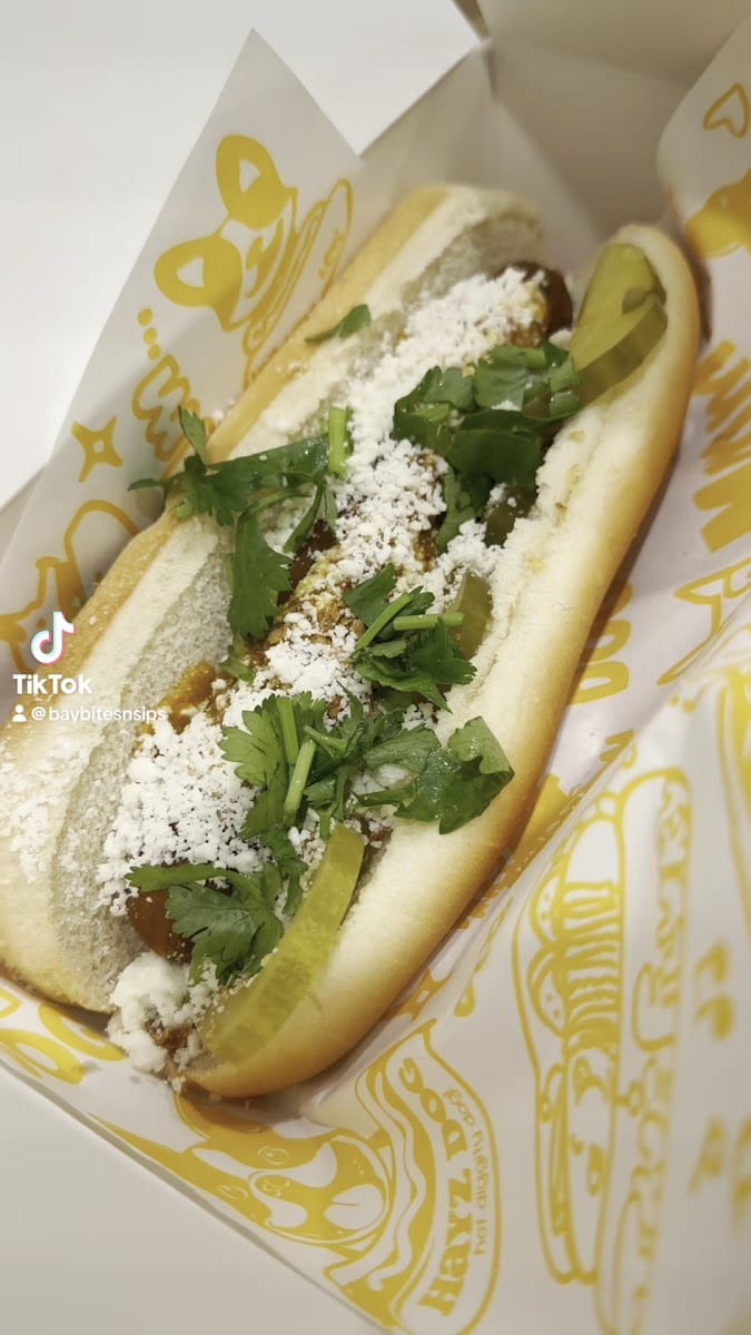 Hayz Dog, photo 3