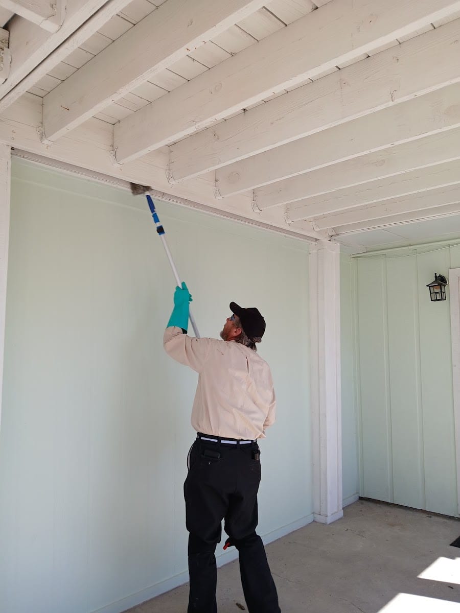 Zaps Pest Control, photo 4