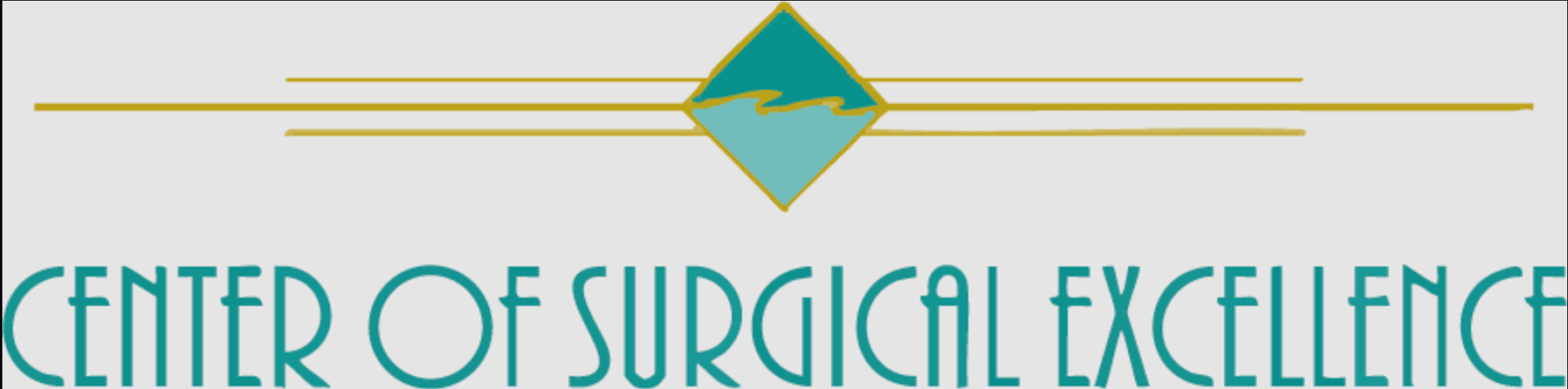Center of Surgical Excellence, photo 2