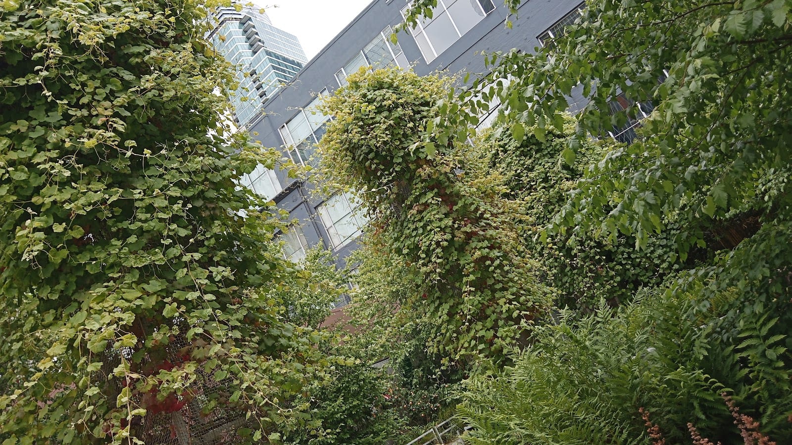 Guy Place Mini Park, photo 3
