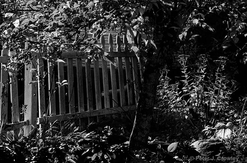 Photographic Art, photo 3