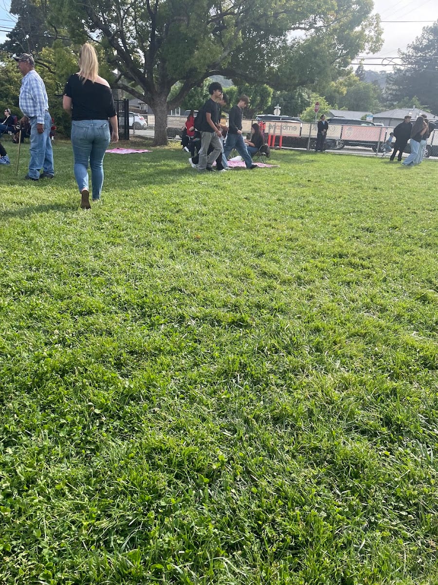 North Jefferson Park, photo 2