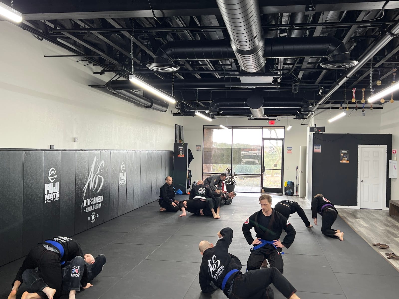Art of Submission Brazilian Jiu-Jitsu Gym, photo 4