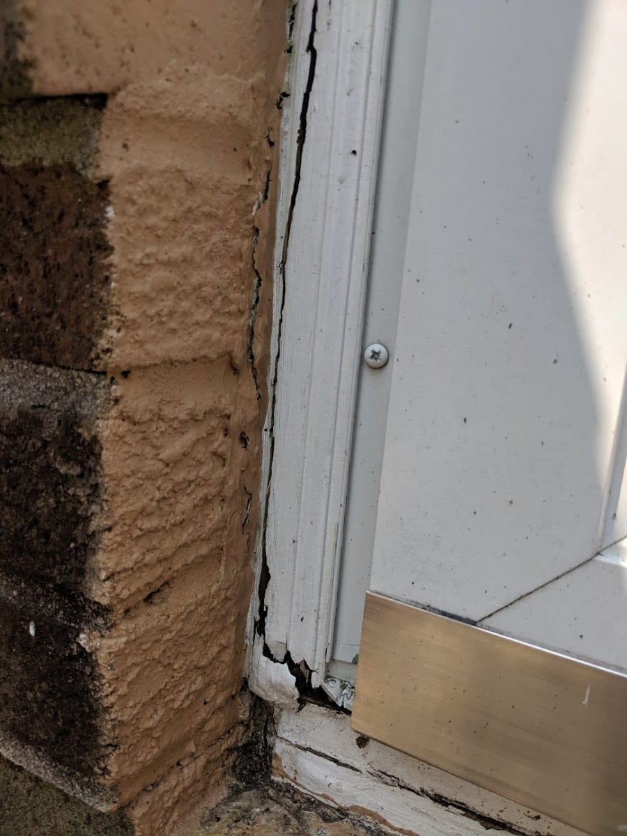 Bales Termite & Pest Control, photo 3