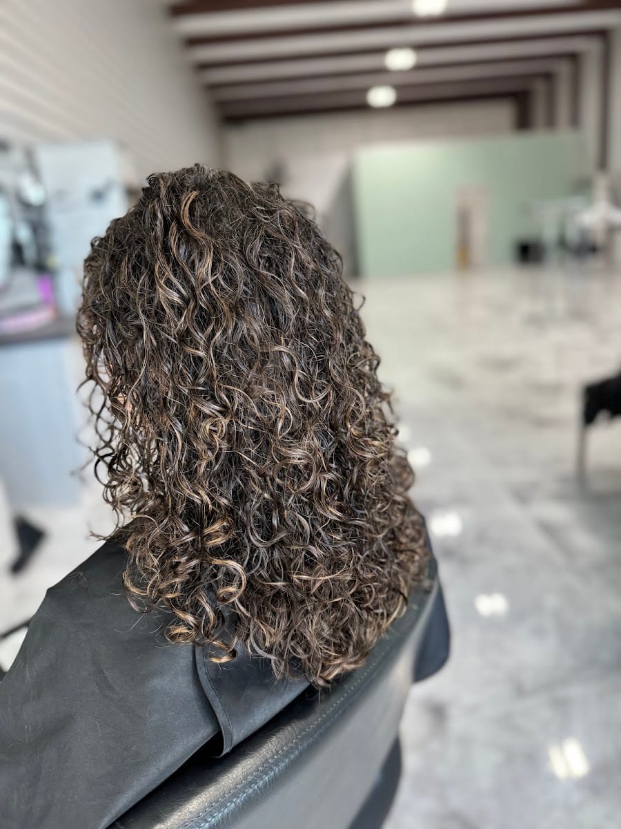 Salon Sculpt