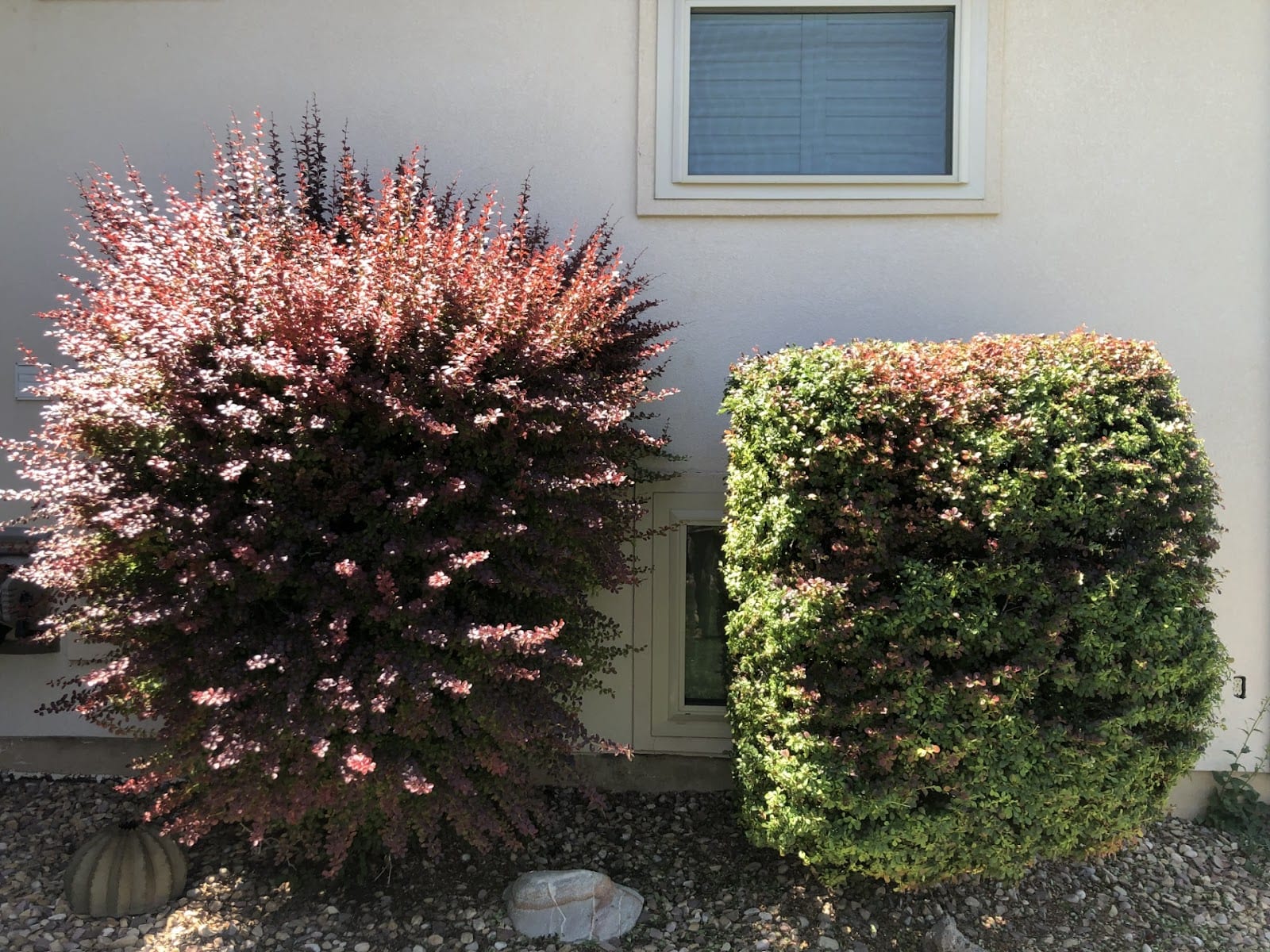 Turffesional Lawn Care & Landscaping, photo 2