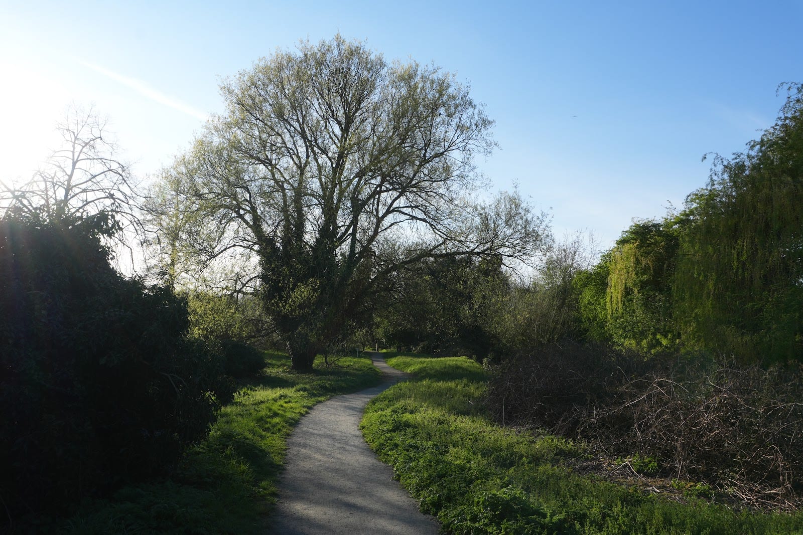 River Ver Trail