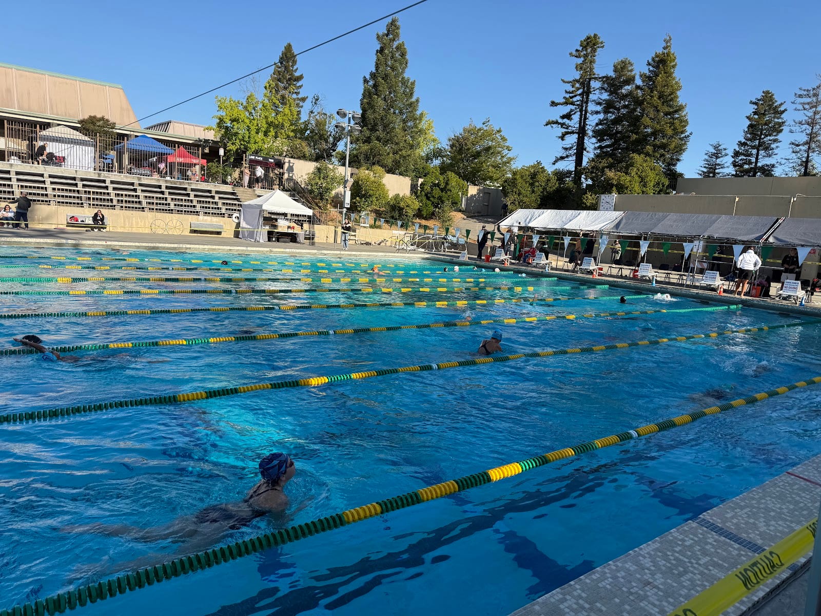 Napa Valley Swim Team