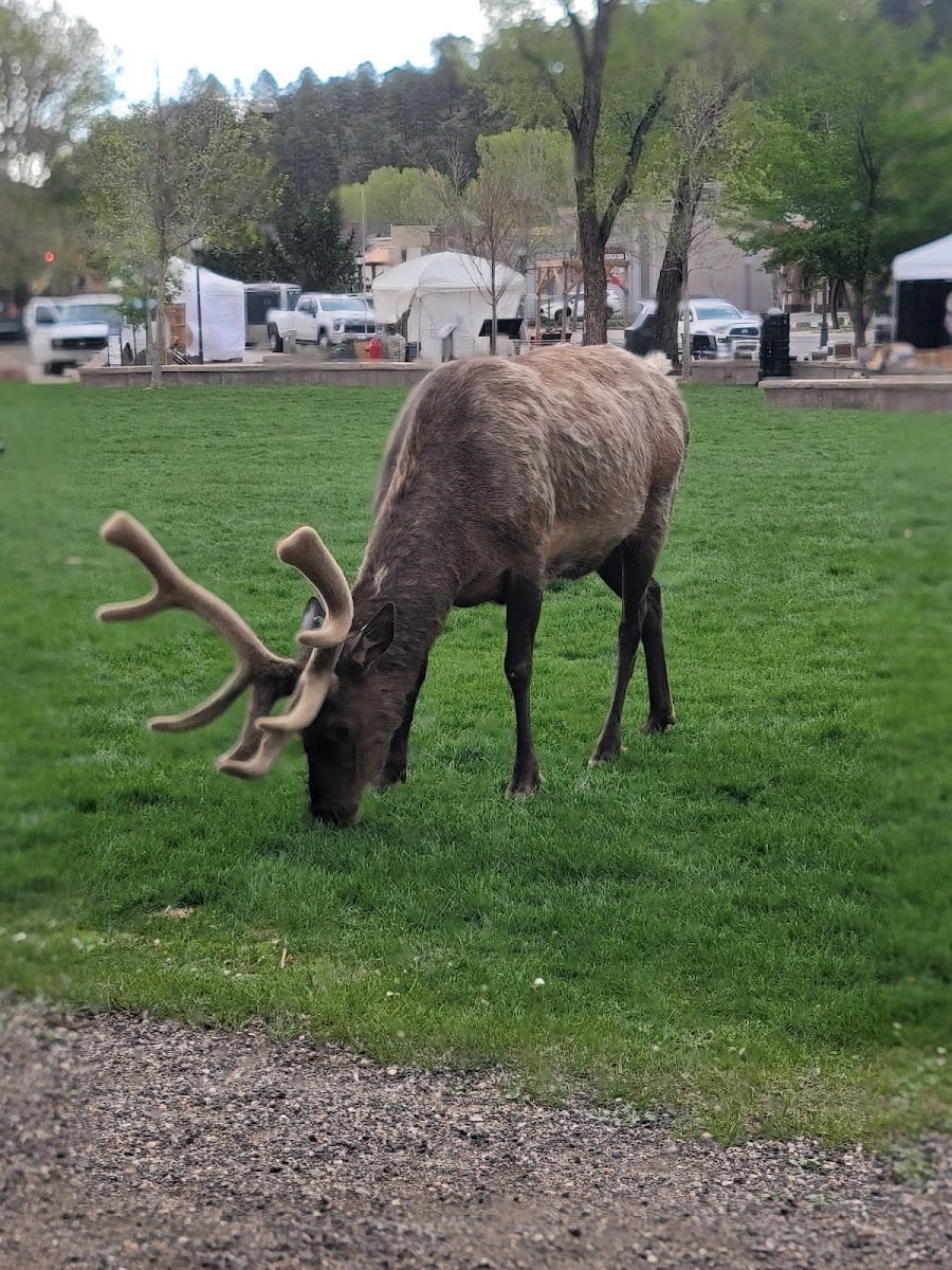 Images of Rocky Mountain National Park