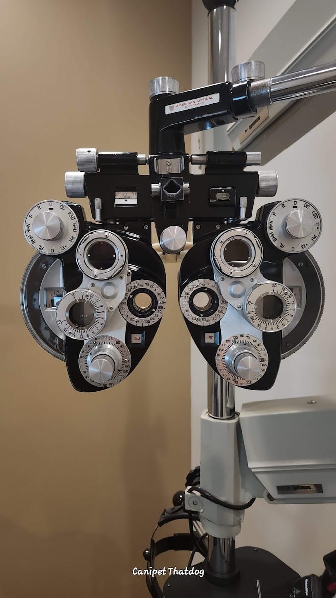 New Vision Program