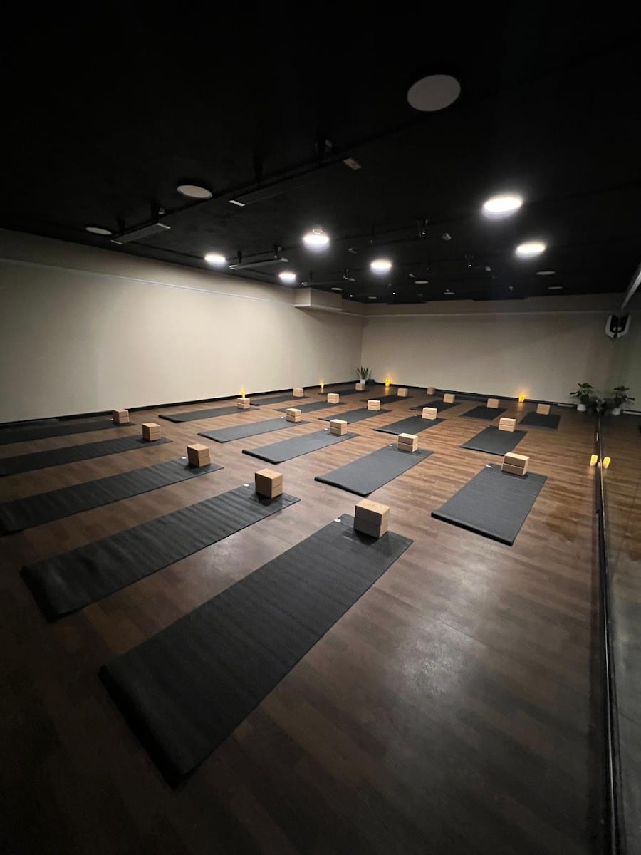Tribe City | Yoga & Pilates, photo 3
