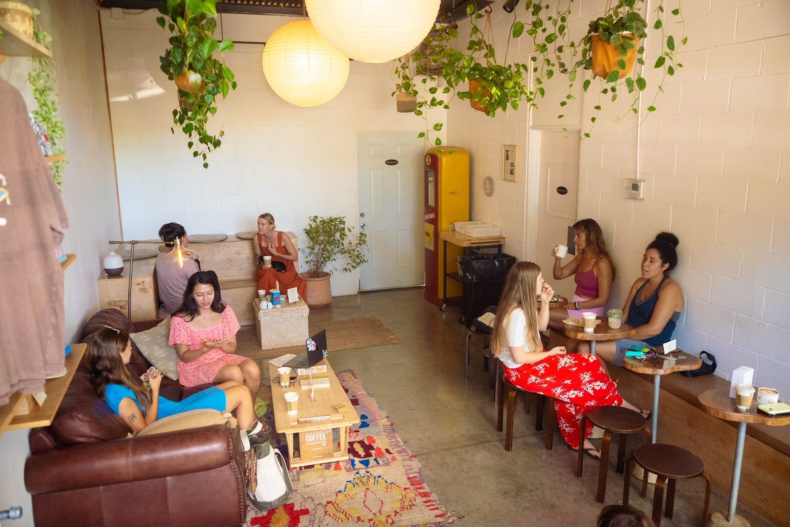 The Bird's Nest - Craft Coffee, photo 2