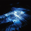 Intrinsic Controls & Electrical