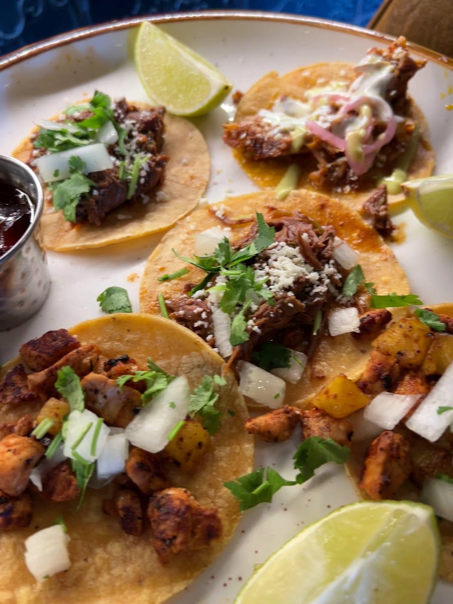Wild Cactus Cantina & Grill, photo 3