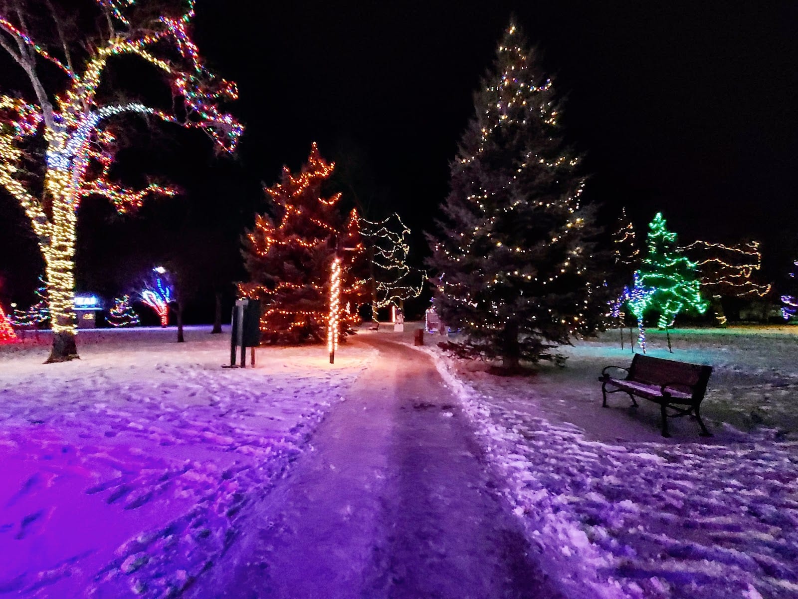 Healing Park on Conwell