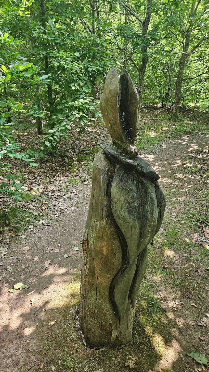 The Magical Wood, photo 3