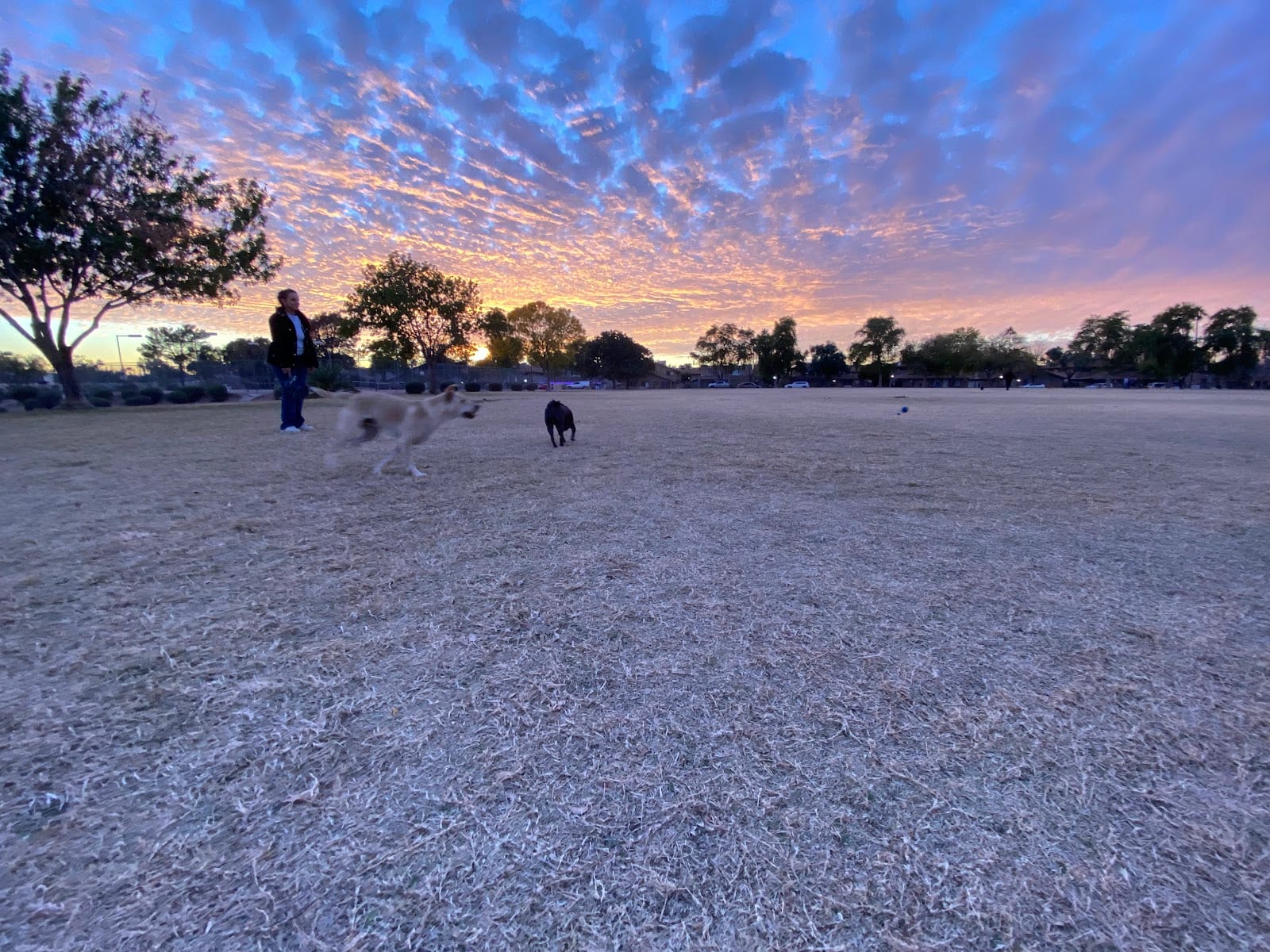 Apache Park, photo 3
