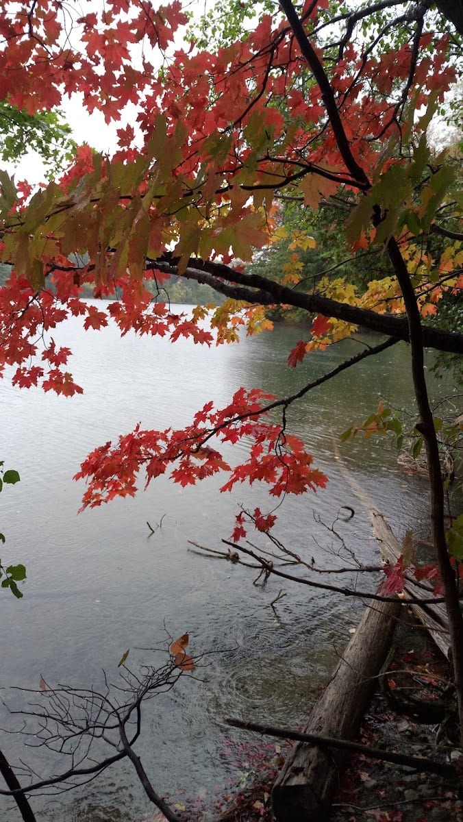 Macleod's Landing Park, photo 3