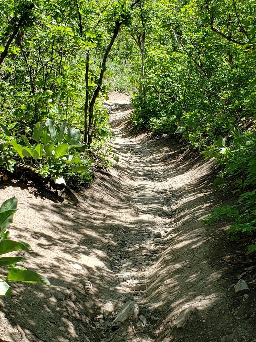 The Living Room Trailhead