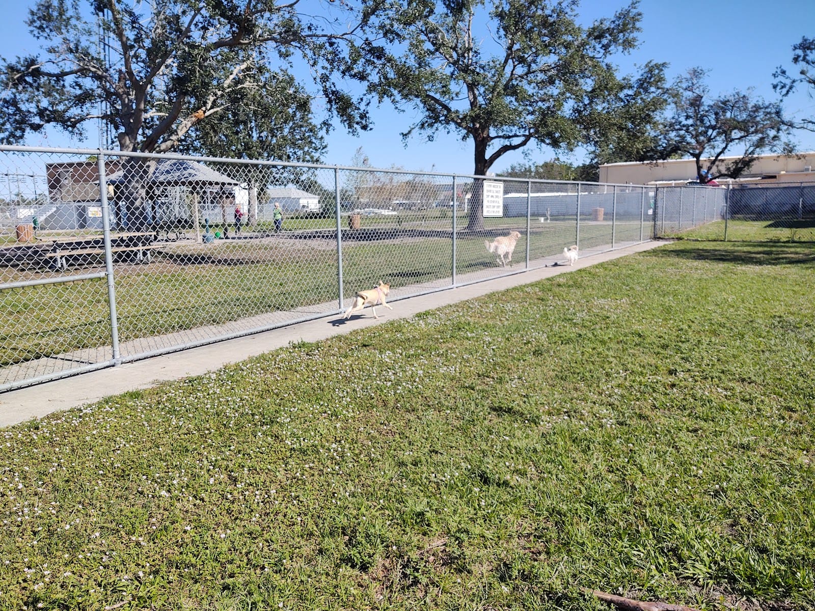 Edgewater Dog Park, photo 3