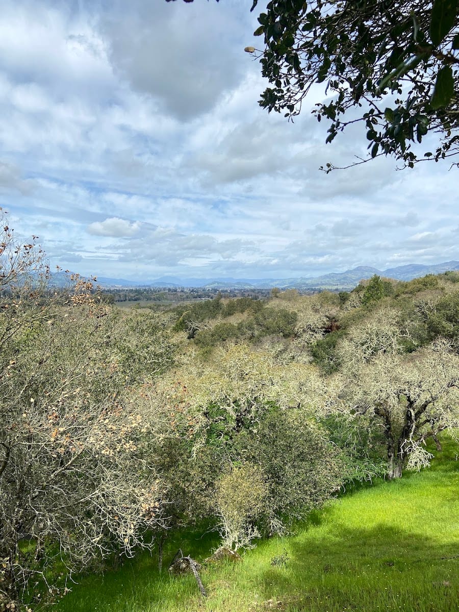 Montecito Fire Road Trail