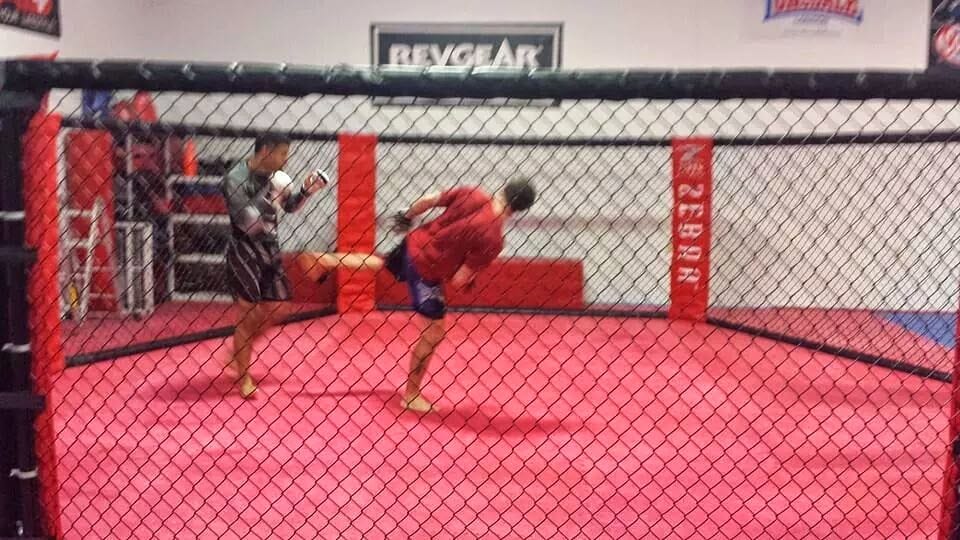 BEDROC MMA, photo 3