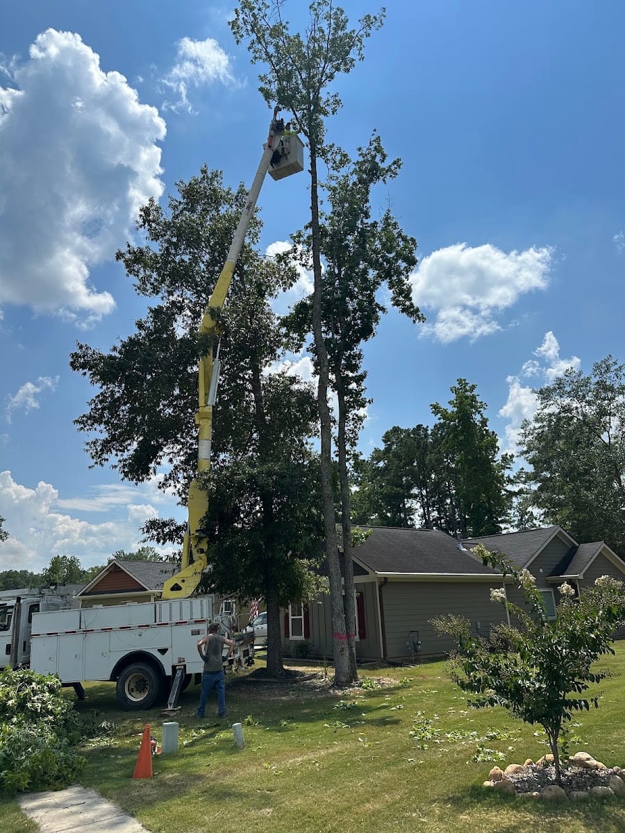 Walker's Tree Service, photo 4