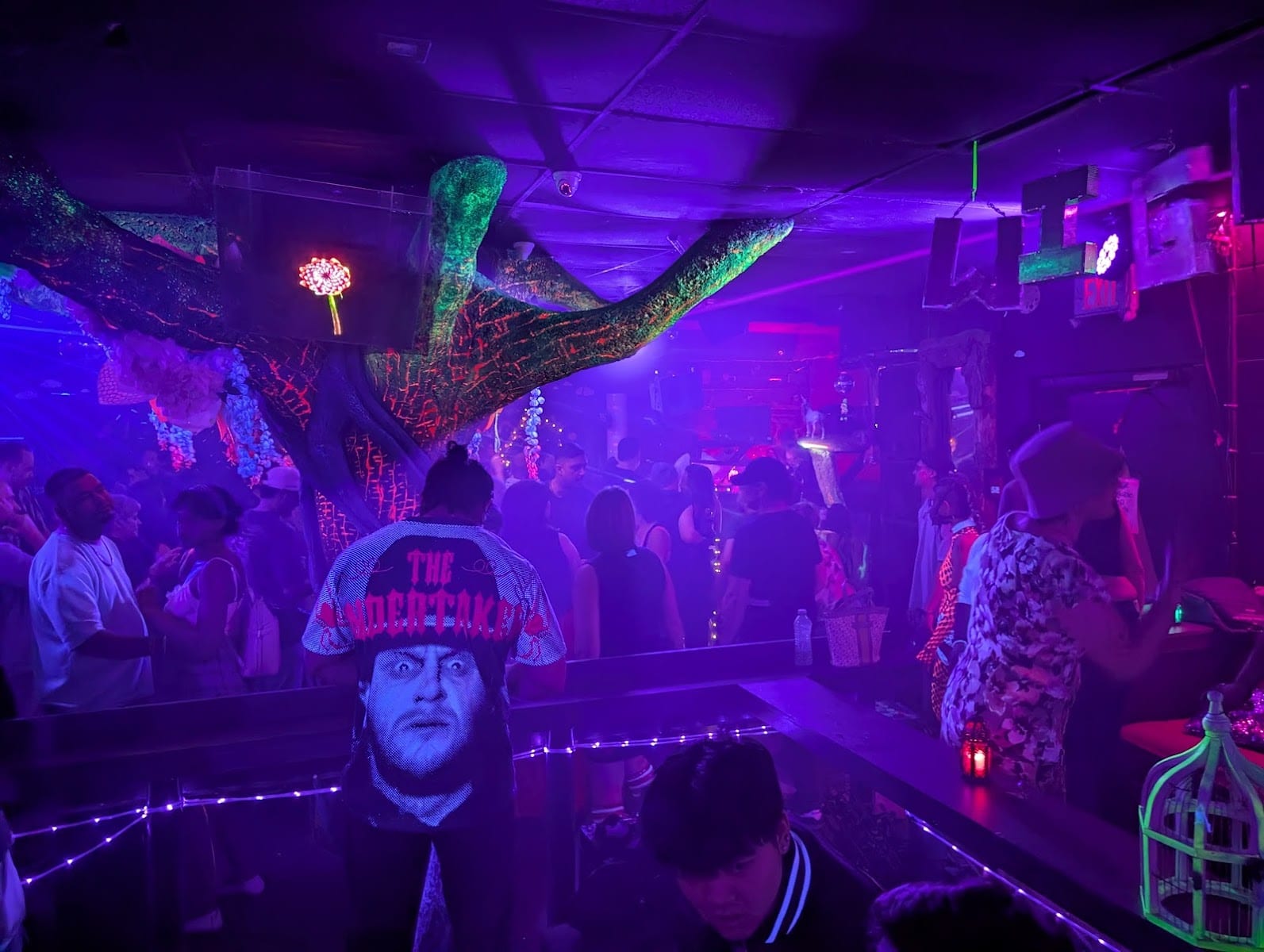 Wiggle Room Toronto, photo 2