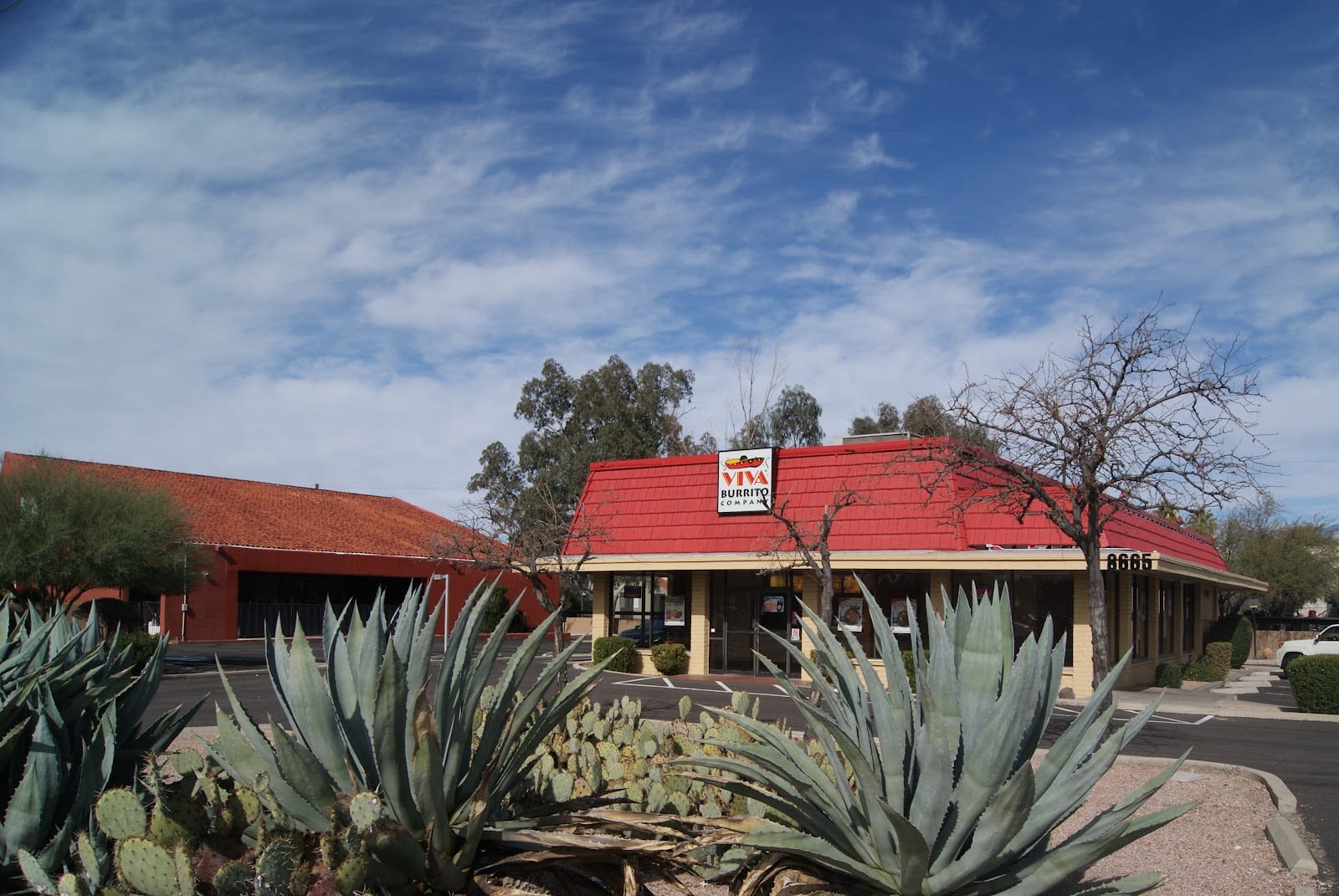 Viva Burrito Co.