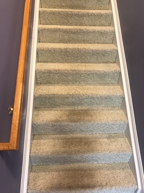 Mitchell's Pro Carpet Care, photo 4