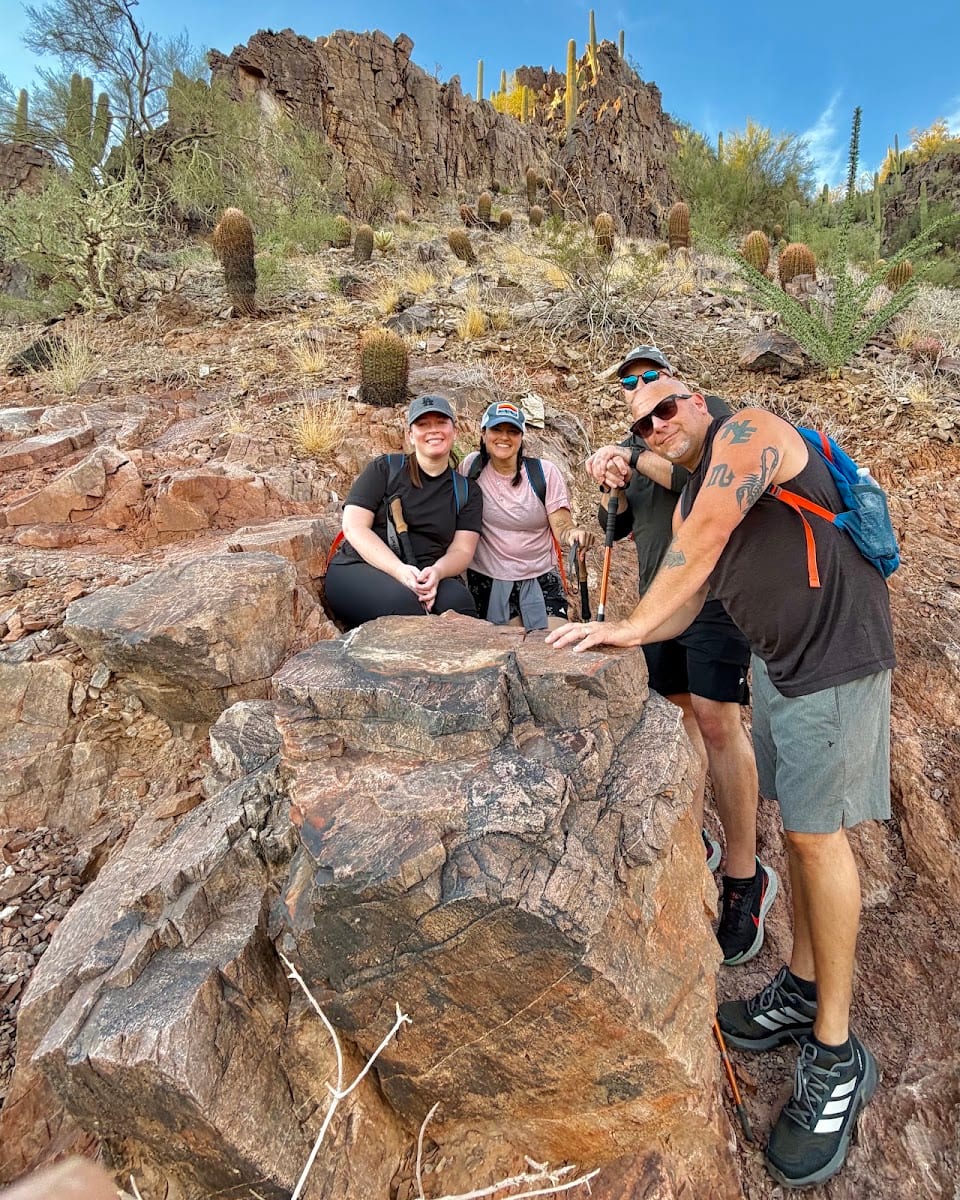 Mad Desert Trekking, photo 4