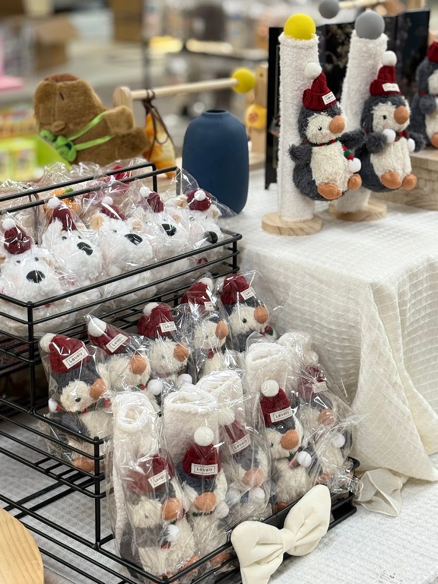 Snowy Rolls Ice Cream & Gifts, photo 3