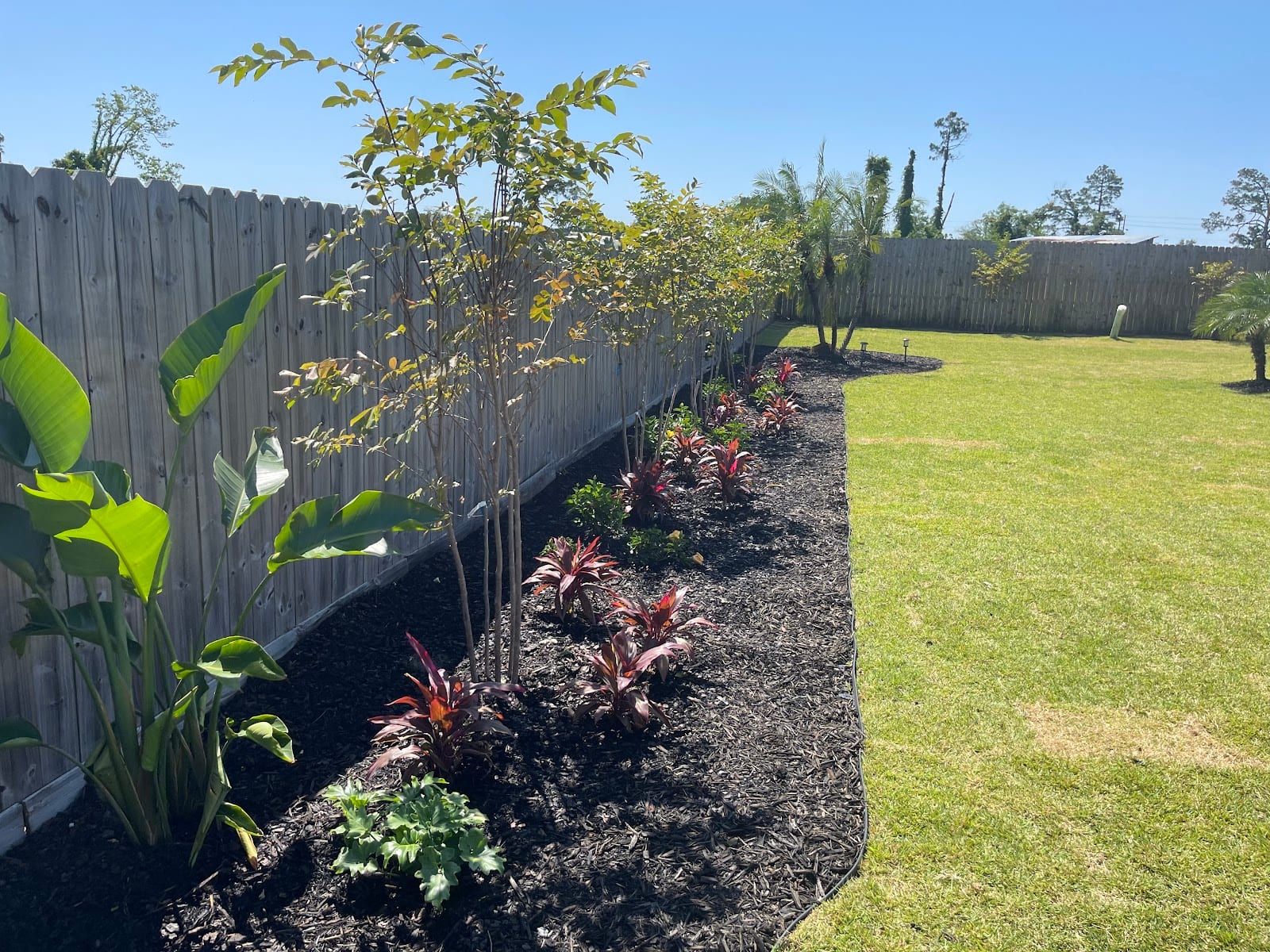 Palm Brothers Landscaping, photo 4