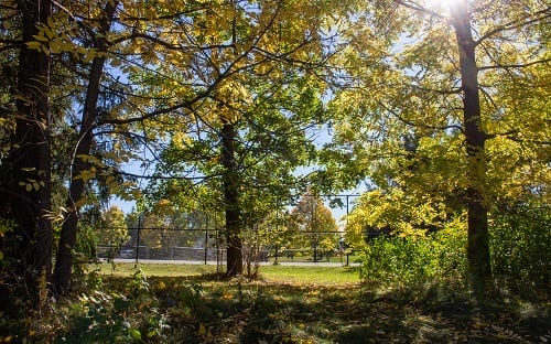 Russell Farm Public Tennis Court #2