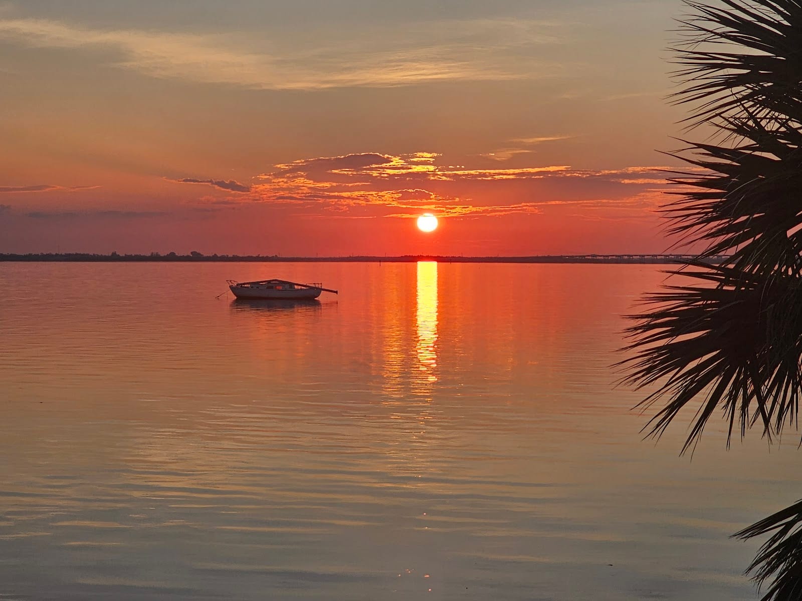 Live Oak Point, photo 4