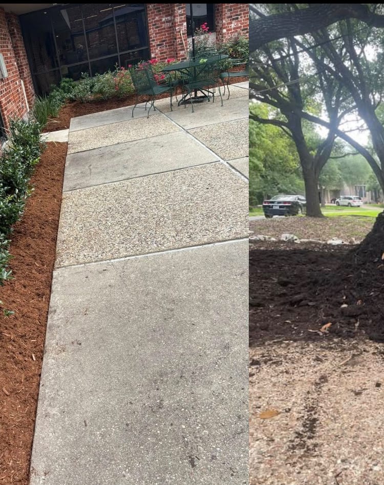 Scottsdale Landscaping Services, photo 2