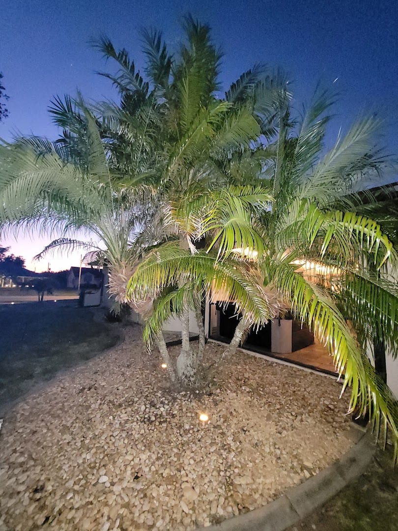 Aces Tree Service, photo 4